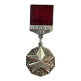 Soviet USSR Young Guardsman of the XI Five-Year Plan 2 degree Pin Badge