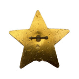 Original Soviet Metal and Enamel Pin Badge Order of Red Star